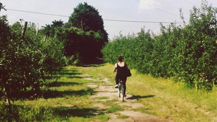 10628334_10152809105529673_7884756465212297420_n