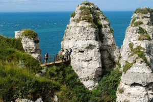 425047_10151117970294673_872760493_n